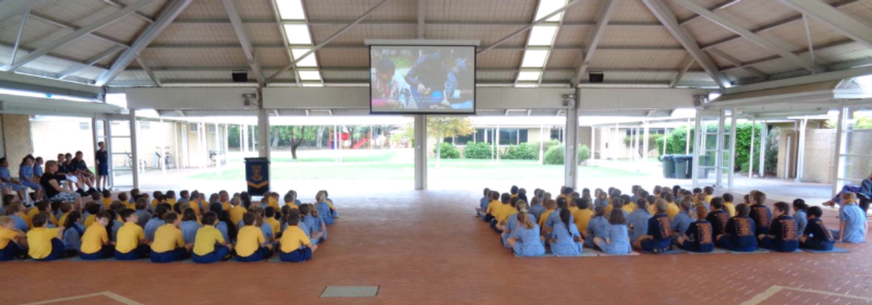 Undercover Area/School Hall High Brightness Projection System - Image 8