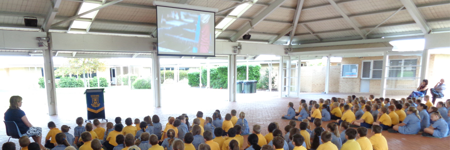 Undercover Area/School Hall High Brightness Projection System - Image 19